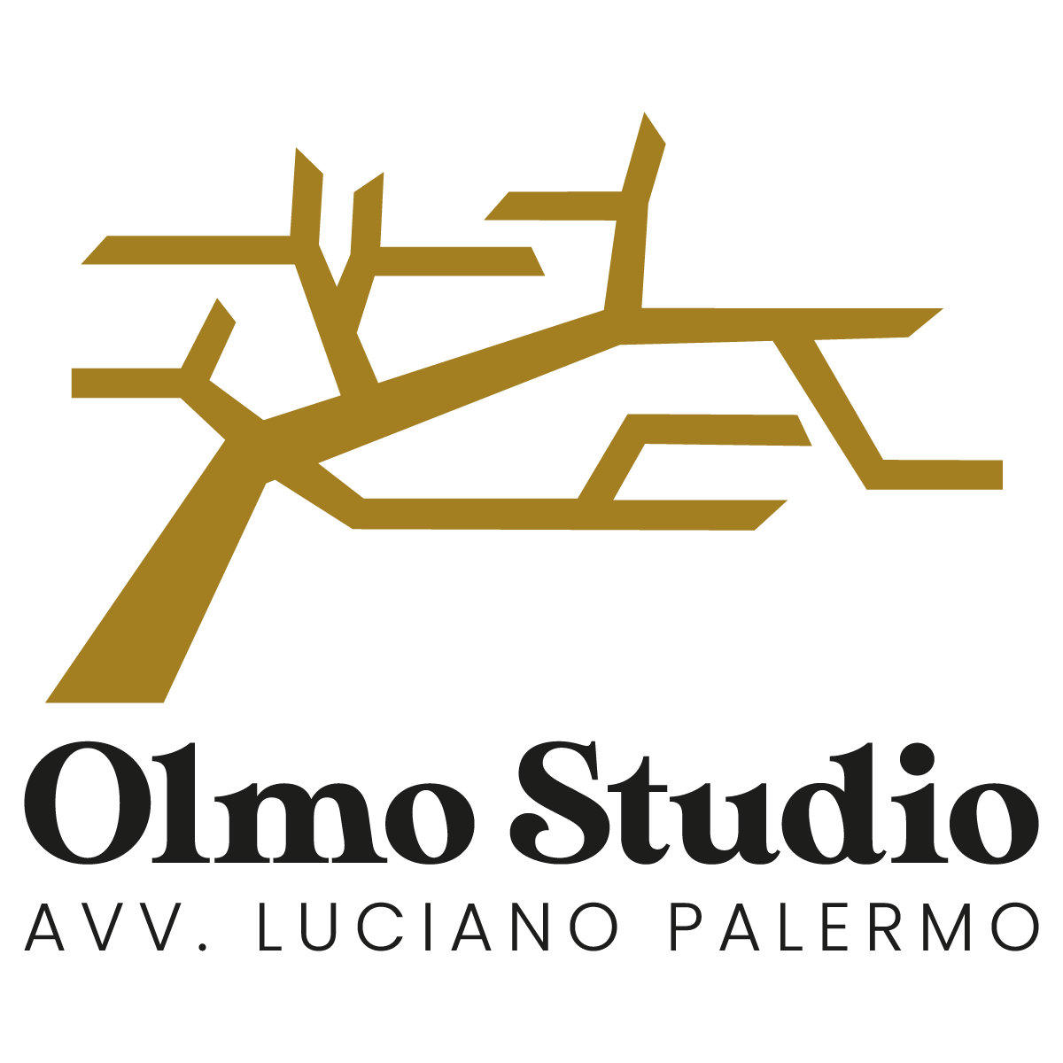 Olmo Studio